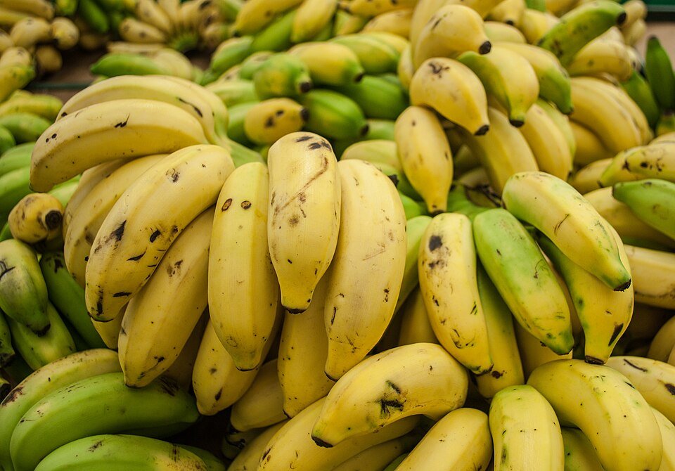 Pisang Cavendish
